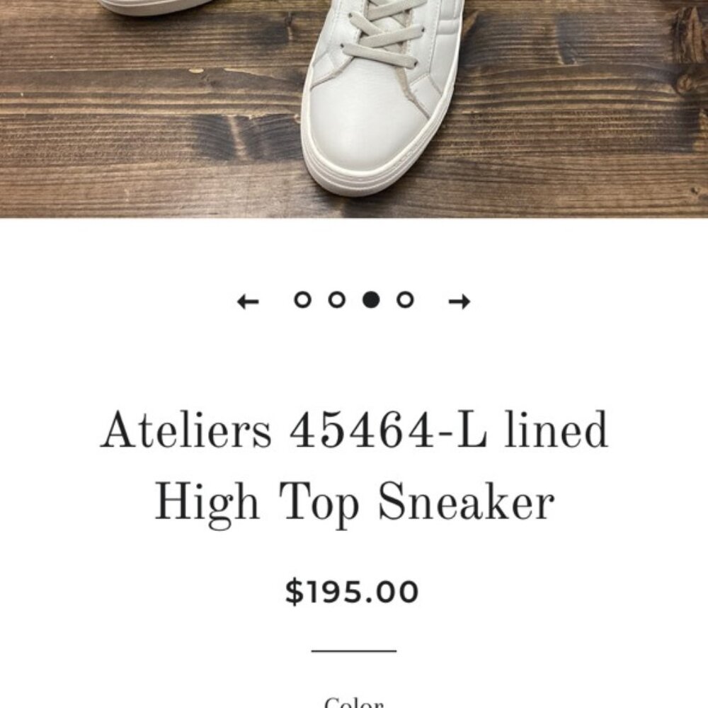 Atelier High Top Sneaker Size 9